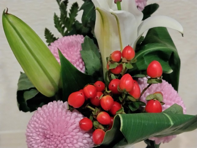 f:id:Lunakko:20230424123253j:image
