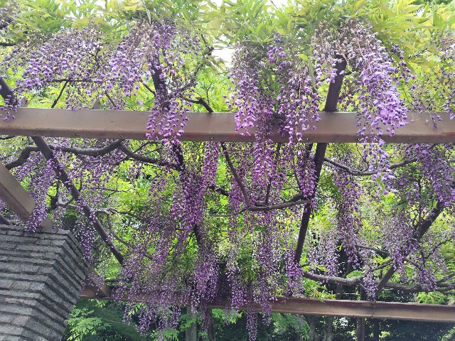 f:id:Lunakko:20230424145511j:image