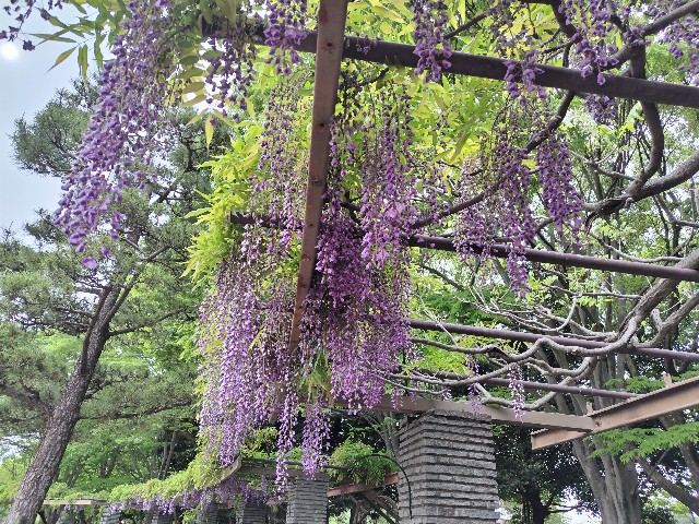f:id:Lunakko:20230424145541j:image