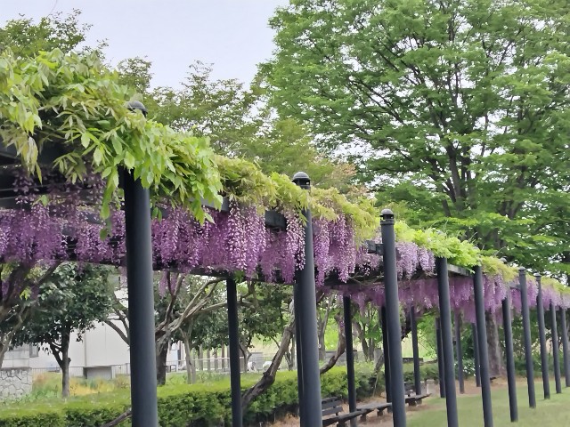 f:id:Lunakko:20230424152509j:image