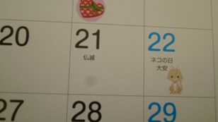 f:id:Lunamama:20200224120221j:plain f:id:Lunamama:20200224120221j:plain