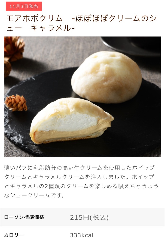 f:id:Lunapimu:20201030105315j:image f:id:Lunapimu:20201030105315j:image