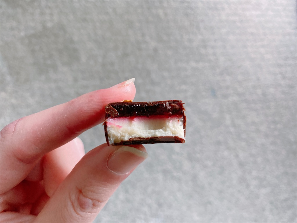 f:id:Lunapimu:20201211171327j:image
