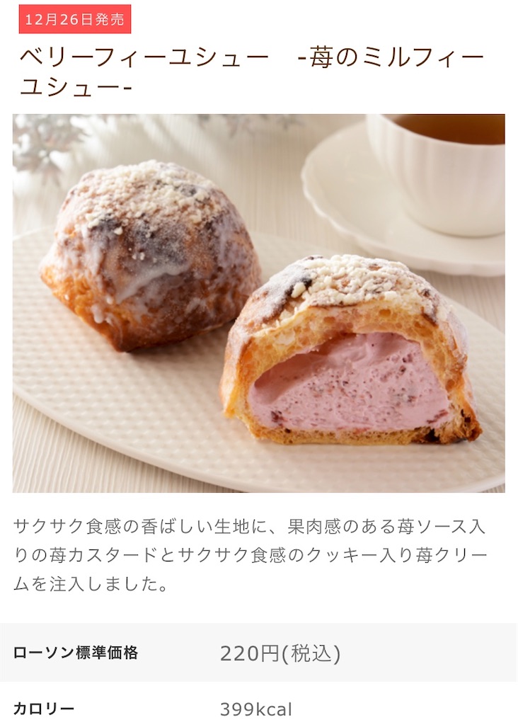 f:id:Lunapimu:20201225181121j:image