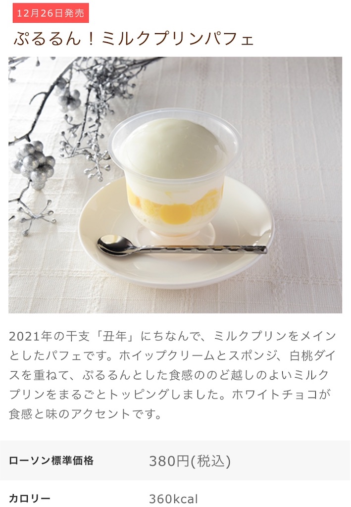 f:id:Lunapimu:20201225181145j:image