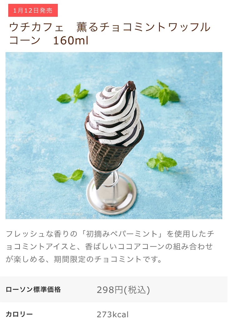 f:id:Lunapimu:20210108142421j:image f:id:Lunapimu:20210108142421j:image