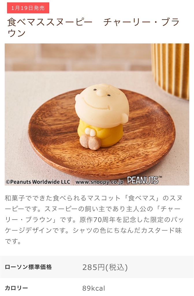 f:id:Lunapimu:20210115123732j:image