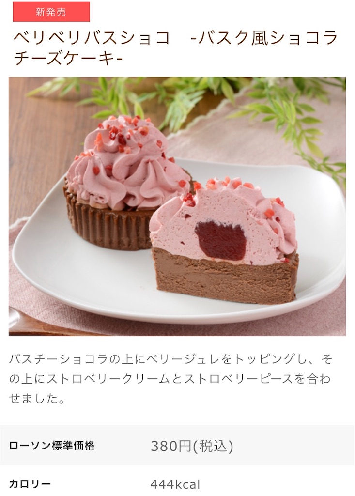 f:id:Lunapimu:20210302112144j:image