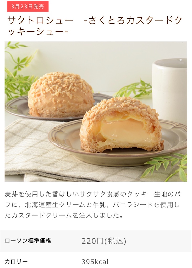 f:id:Lunapimu:20210319112259j:image f:id:Lunapimu:20210319112259j:image