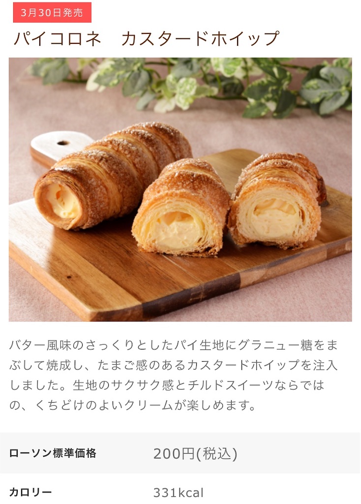 f:id:Lunapimu:20210326114745j:image