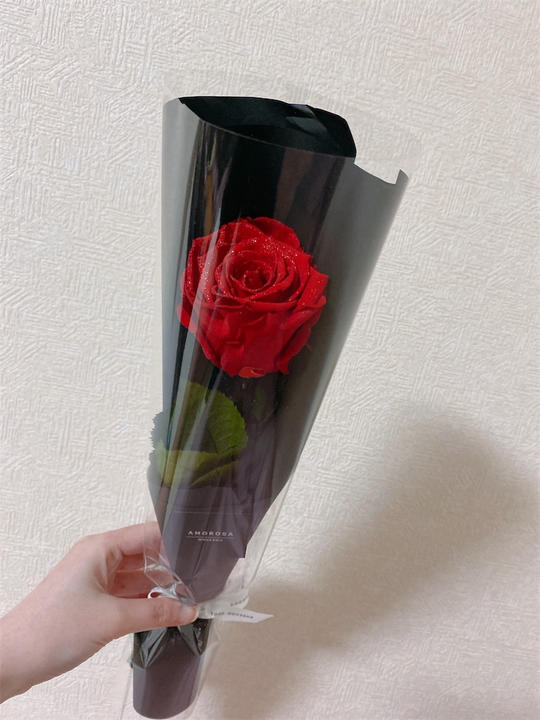 f:id:Lunapimu:20210504063510j:image f:id:Lunapimu:20210504063510j:image
