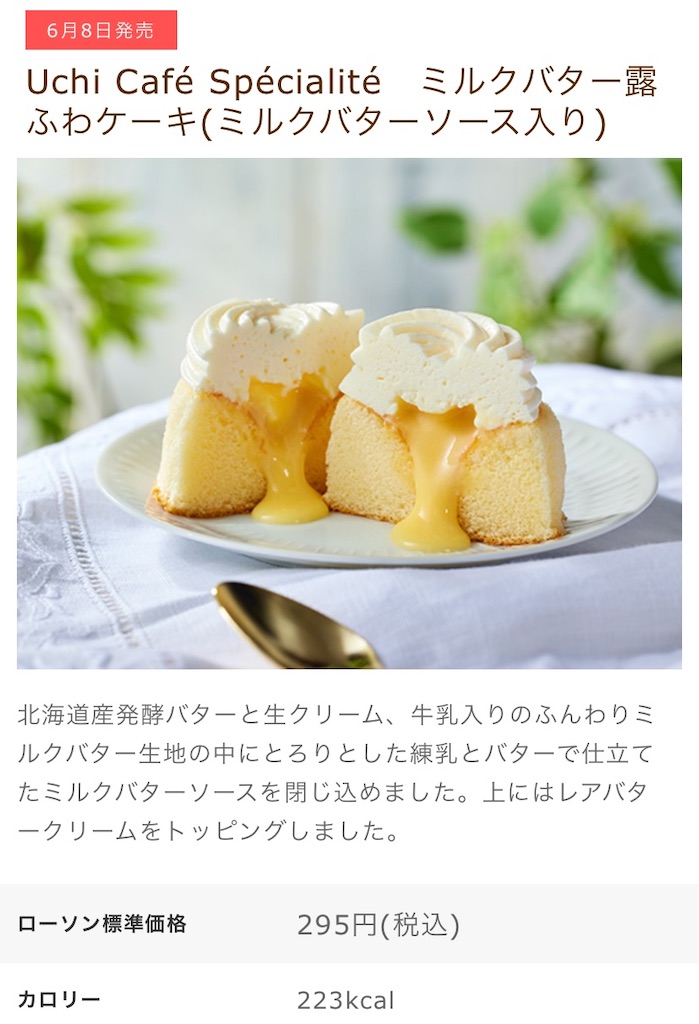 f:id:Lunapimu:20210604111728j:image
