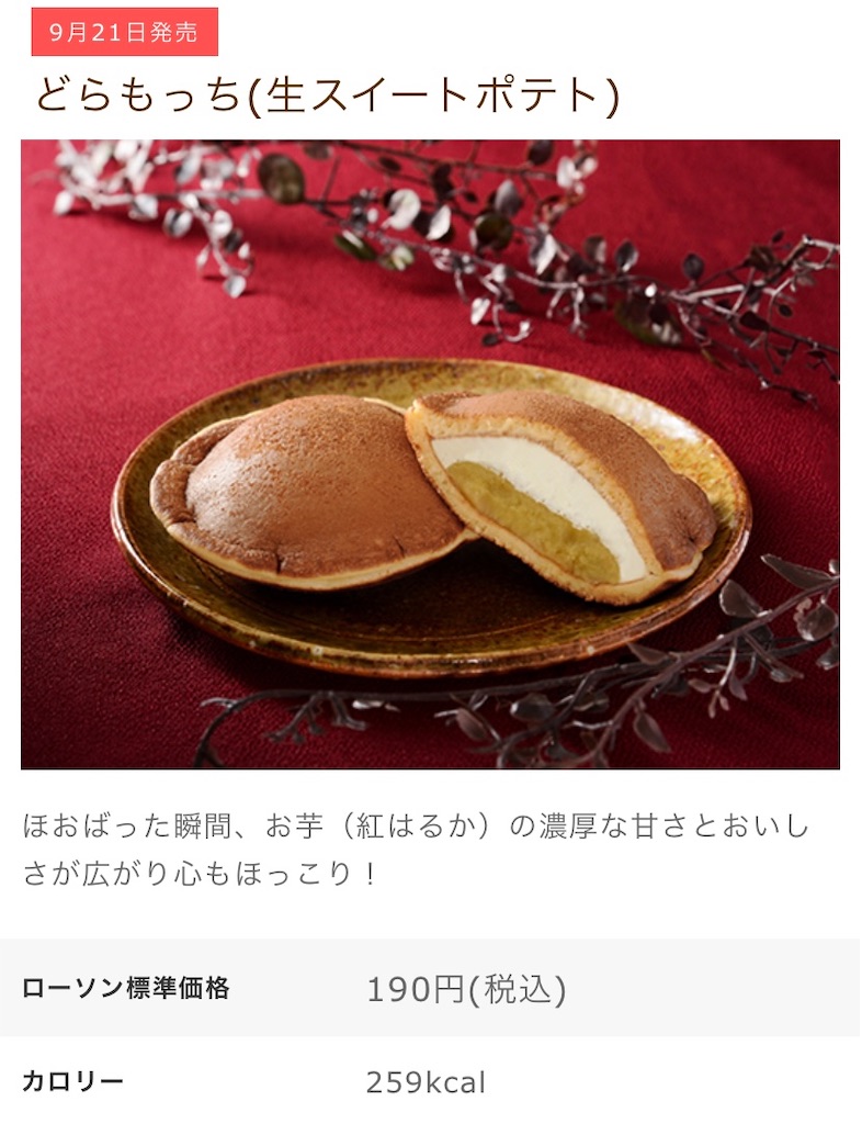 f:id:Lunapimu:20210917113932j:image