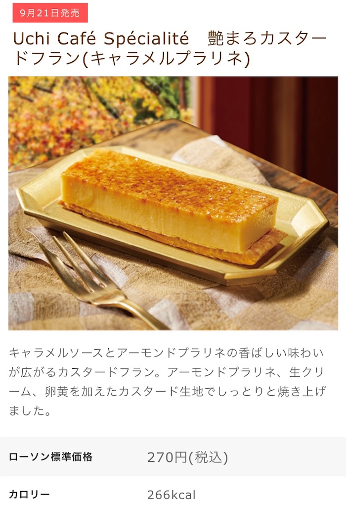 f:id:Lunapimu:20210917113936j:image