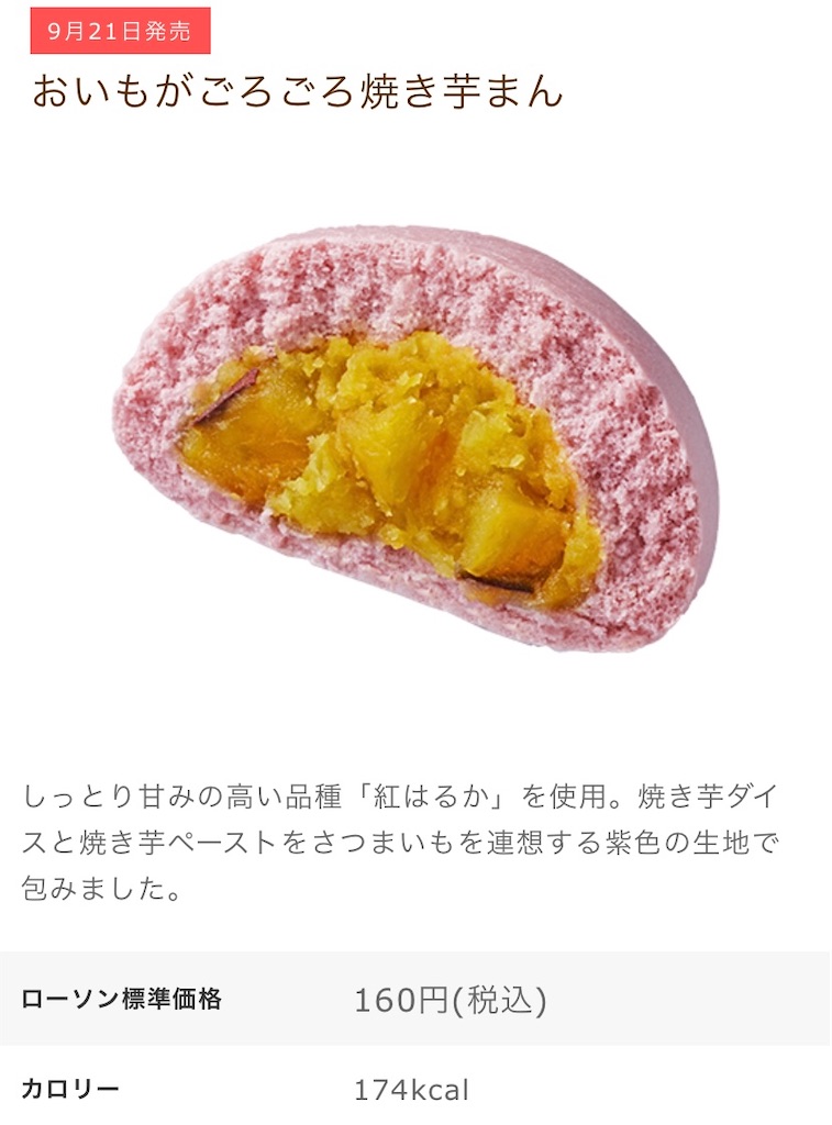 f:id:Lunapimu:20210917114340j:image