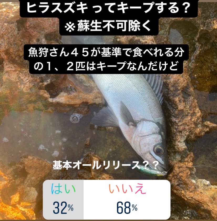 神経締めとは 食の人気 最新記事を集めました はてな 神経締めとは 食の人気 最新記事を集めました はてな