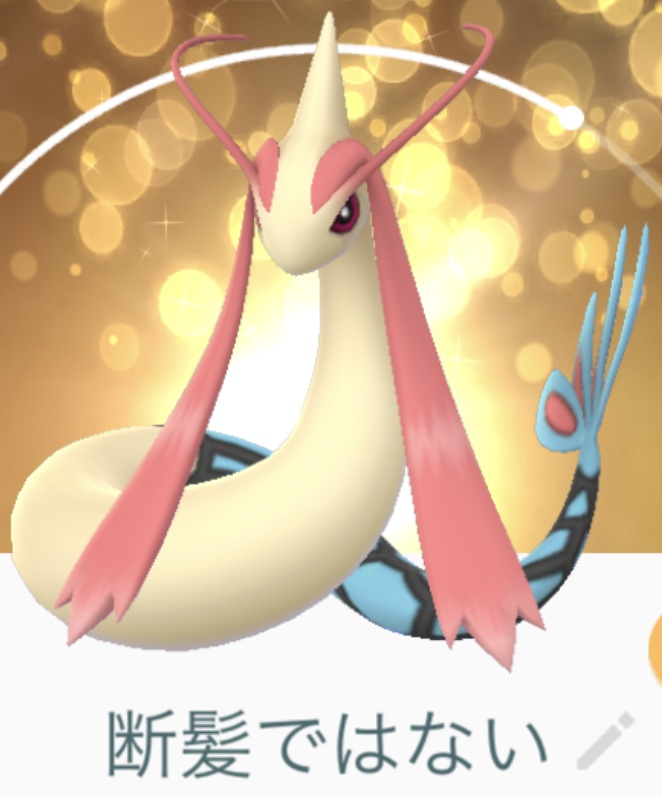 f:id:Lurinco:20190604130808j:plain