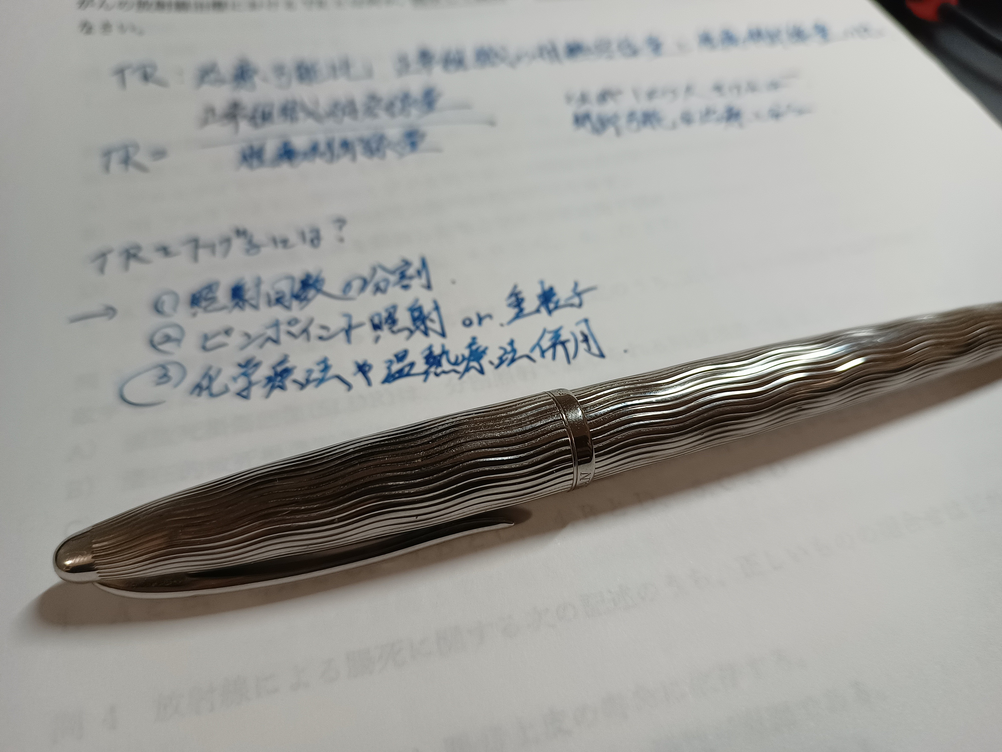 Carene DX Silver Chiesel 銀の可憐な万年筆──カレンDXシルバー