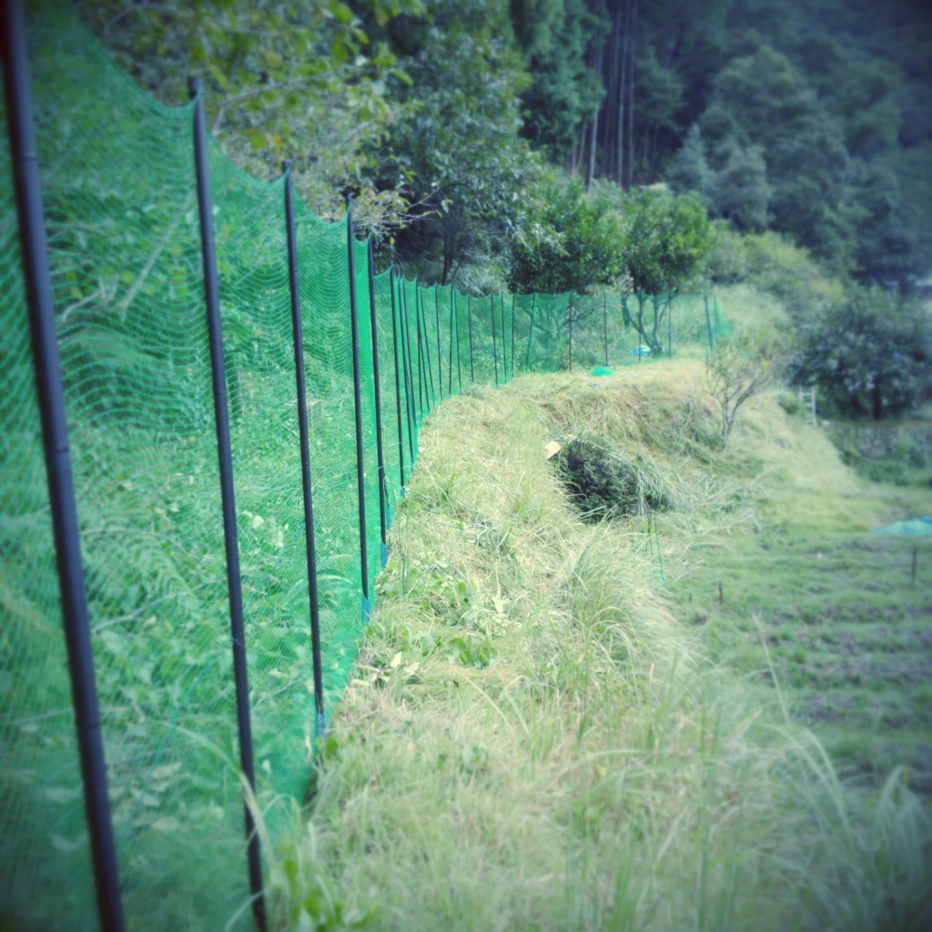 f:id:Lutin:20160904190636j:plain f:id:Lutin:20160904190636j:plain