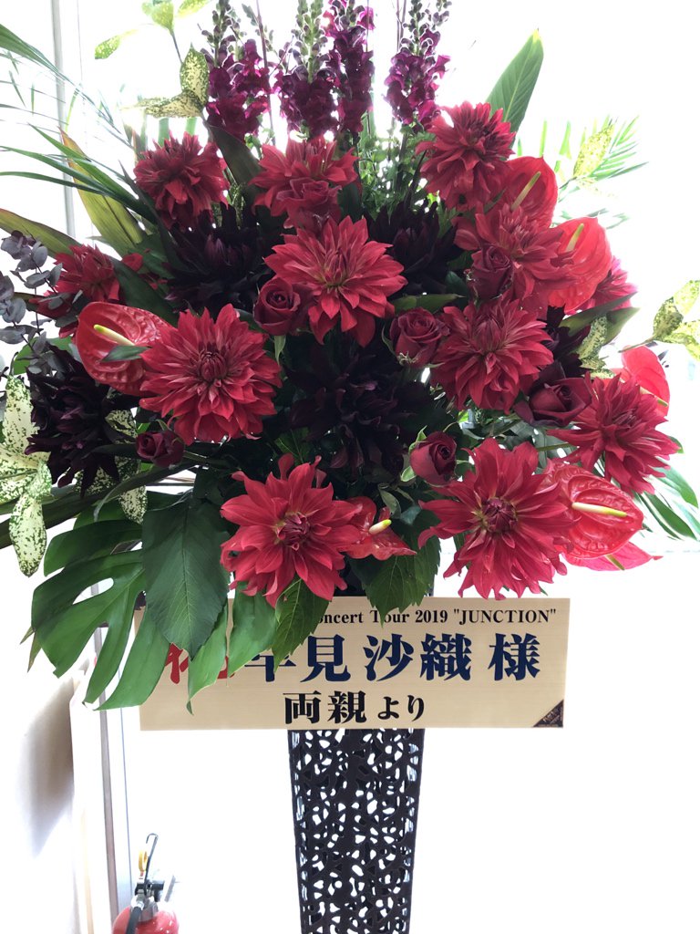 f:id:LycorisRa:20190411202453j:plain f:id:LycorisRa:20190411202453j:plain