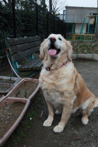 f:id:Lync:20150524094200j:plain