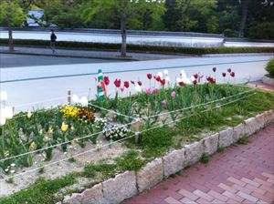 f:id:Lync:20150911165157j:plain f:id:Lync:20150911165157j:plain