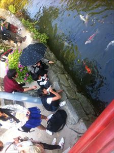 f:id:Lync:20150911171135j:plain f:id:Lync:20150911171135j:plain