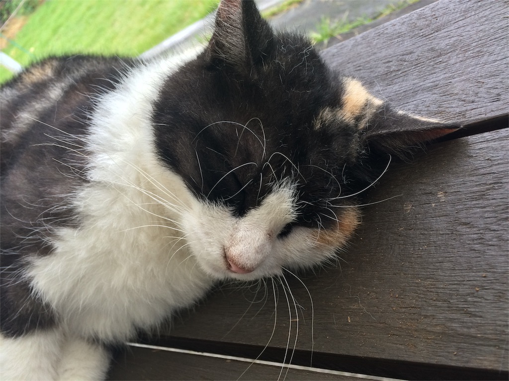 f:id:Lync:20151004094635j:image f:id:Lync:20151004094635j:image