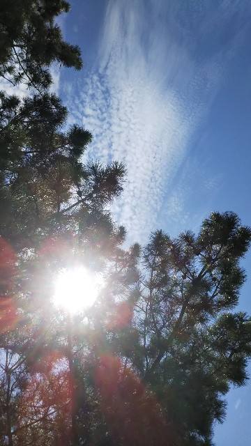 f:id:Lyon13:20190811194157j:image f:id:Lyon13:20190811194157j:image