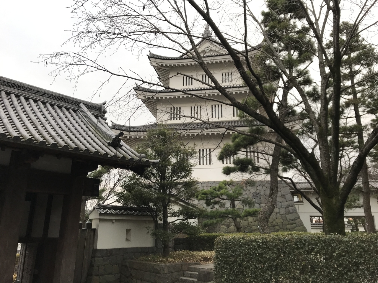 f:id:M-I-5:20190222122532j:plain:w320 f:id:M-I-5:20190222122532j:plain:w320