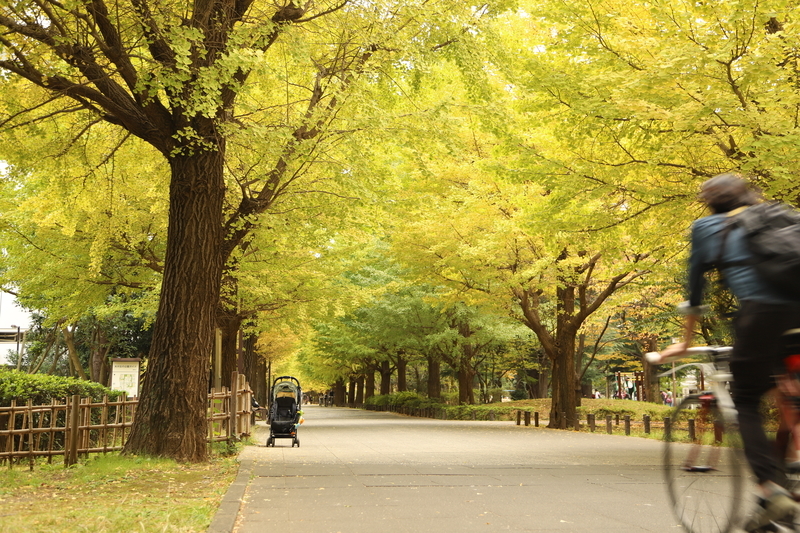 f:id:M-harakiri:20201108180444j:plain f:id:M-harakiri:20201108180444j:plain