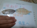 20110727225706