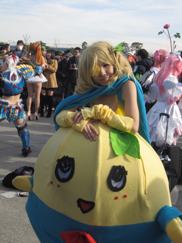 f:id:M-san:20131230133808j:image:w360