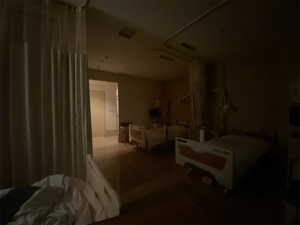 f:id:M0M0G0N:20230120144606j:image