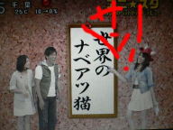 f:id:M14:20090509221533j:image