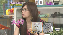 f:id:M14:20090712220651j:image f:id:M14:20090712220651j:image