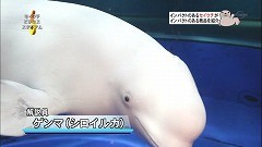 f:id:M14:20100624230155j:image