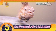 f:id:M14:20100624230156j:image