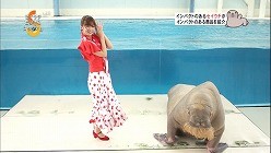 f:id:M14:20100809223100j:image