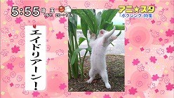 f:id:M14:20101121123427j:image