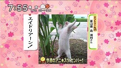 f:id:M14:20101121123435j:image
