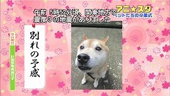 f:id:M14:20110326182225j:image