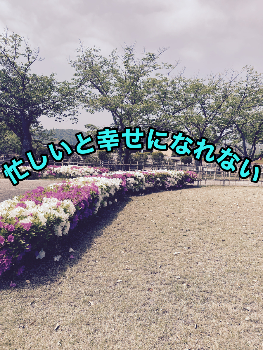 f:id:M1998-05-11A:20200512175839j:plain
