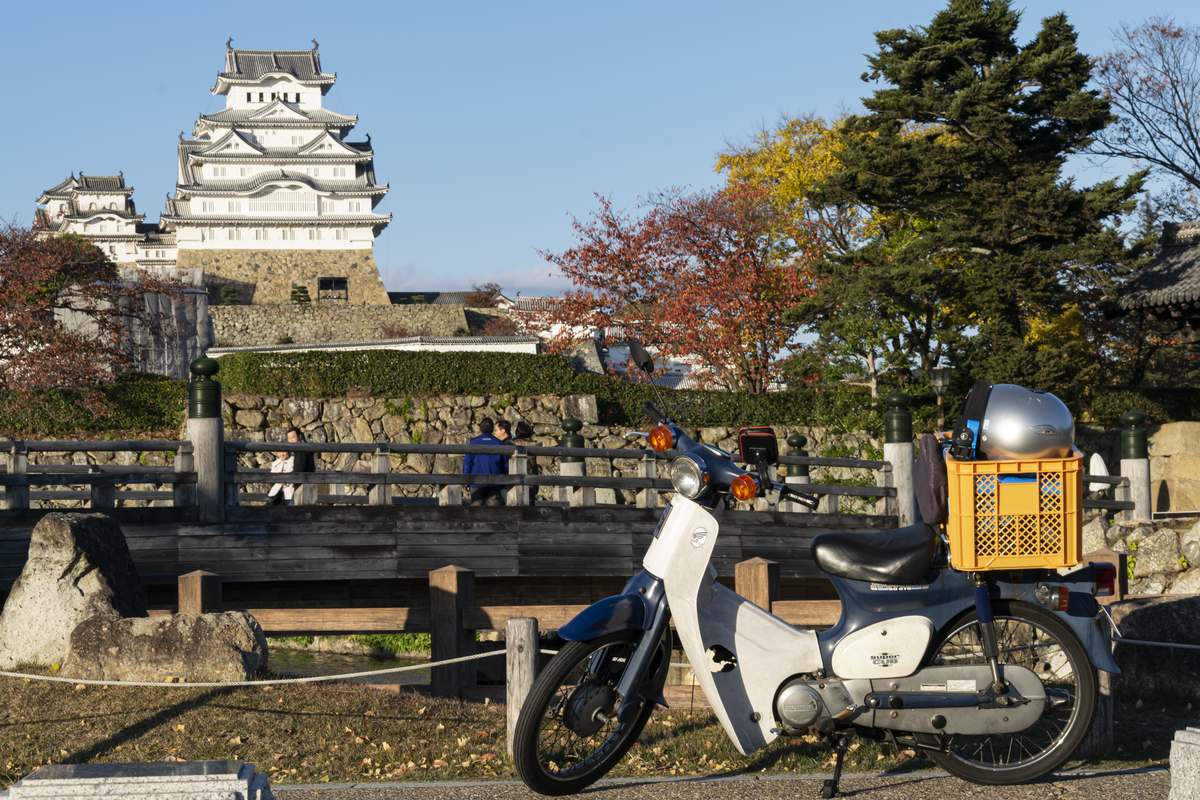 f:id:M1hn:20191120143414j:plain f:id:M1hn:20191120143414j:plain