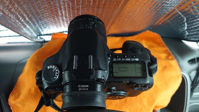 キヤノンEOS 40DとキヤノンEF50/2,5コンパクトマクロを使ってみて3日