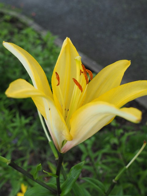 f:id:M32:20230612062911j:image
