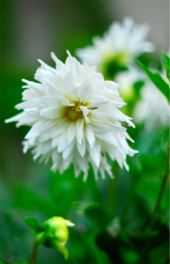 f:id:M32:20240711101239j:image