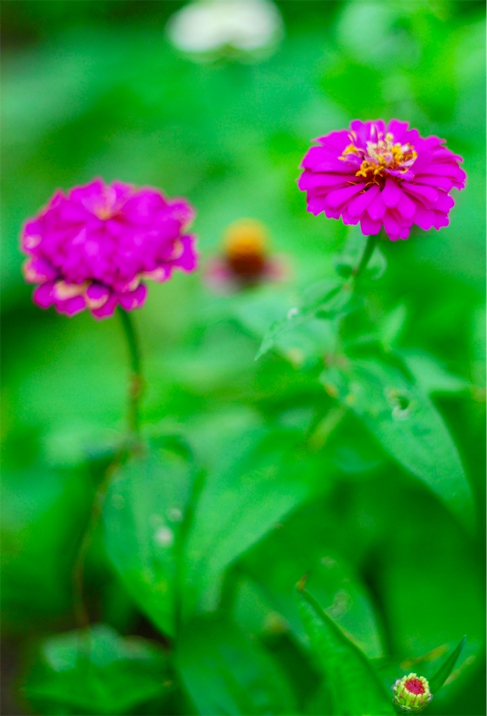 f:id:M32:20240711101241j:image