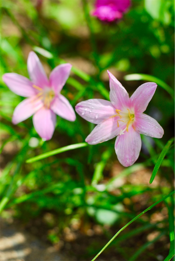 f:id:M32:20240718114946j:image