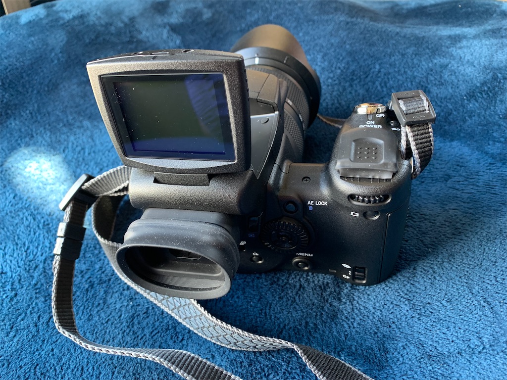ソニーcyber shot DSC-R1を使って… - M32camera_lovelike